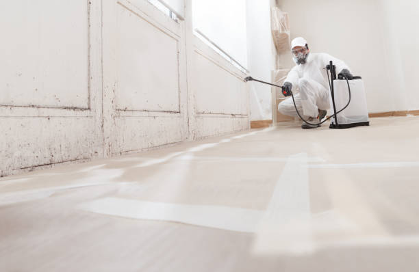24/7 Emergency Attic Mold Removal experts in Alberta, VA